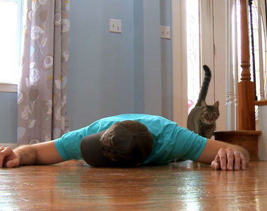 《在貓眼前裝死》到底期待貓皇會有什麼反應ww