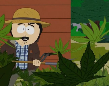 《動畫官網教你種大麻》動畫官方網站驚傳被駭 網友看了都傻眼……