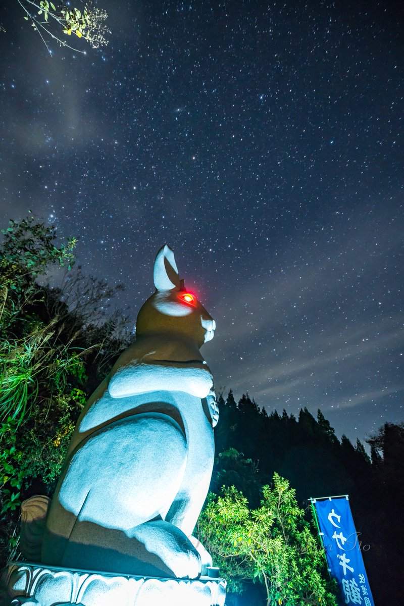 日本寺廟新建《巨型兔觀音》高6m的衝擊外型　推民也不知道該從哪吐槽起惹ww - 圖片9