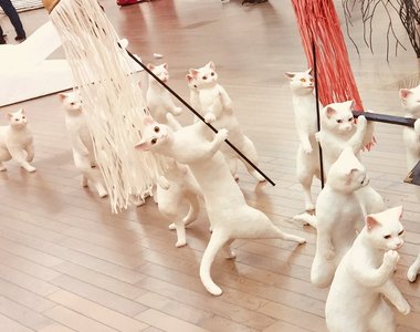 五美大展中的話題創作《大貓的隊伍》各種逼真又可愛喵星人引發討論