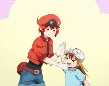 醫學博士推薦的優質動畫《工作細胞》能夠傳遞正確知識&有助於醫師與患者間的溝通