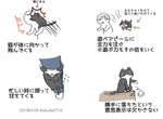 《養貓的辛苦》4張插畫道出所有喵飼主的心聲 《養貓的辛苦》4張插畫道出所有喵飼主的心聲