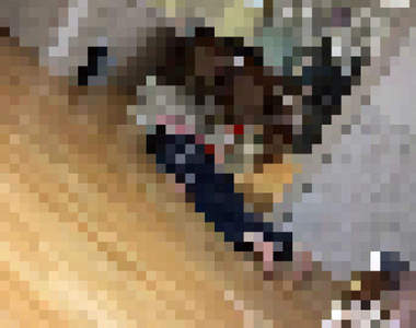 《24歲的姐姐第一次養狗》這畫面是全天下飼主的心聲阿(￣▽￣)