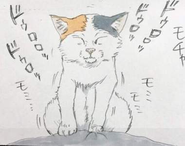 《貓的調皮行為》把你當做氣墊床彈來彈去也是剛好而已