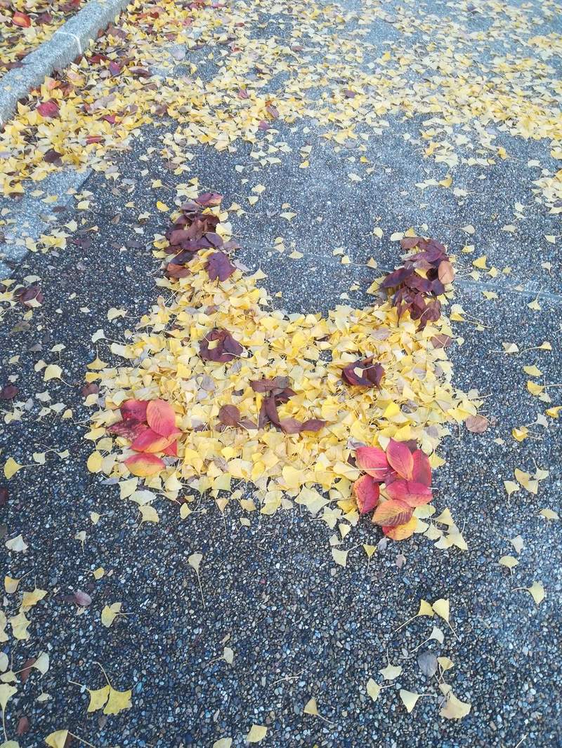 秋天才有的美景《落叶艺术》不起眼的满地落叶里竟隐藏着这些可爱角色 - 图片4 秋天才有的美景《落叶艺术》不起眼的满地落叶里竟隐藏着这些可爱角色