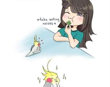 鳥奴必看的《鸚鵡飼育插畫》超可愛內容讓鳥奴都瘋狂啦~