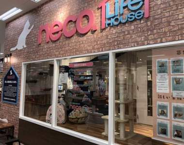 日本寵物店增設《認養專區》鼓勵認養盼能減少更多的動物安樂死