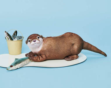 超仿真《水獺化妝包》體驗飼養水獺當寵物的感覺❤