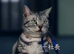 《最新寵物貓名字調查2018》連狗狗都可能撞名的人氣名字果然還是... 《最新寵物貓名字調查2018》連狗狗都可能撞名的人氣名字果然還是...