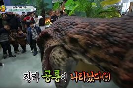 看到恐龍時館內突發生《小孩逃走中》扮恐龍的人跑的快累死....