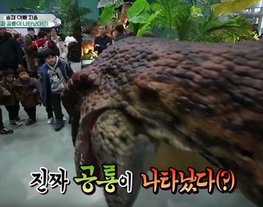 看到恐龍時館內突發生《小孩逃走中》扮恐龍的人跑的快累死....