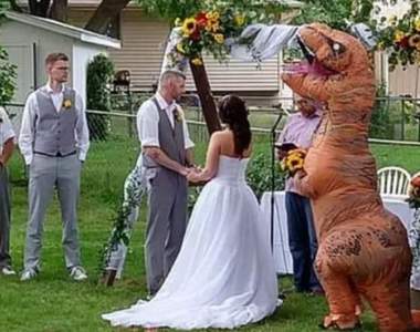 婚禮上驚現《恐龍伴娘》！？是什麼原因讓浪漫婚禮出現存在感超強的恐龍呢？