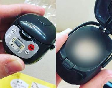 網友創意無極限!原來這才是《電子鍋扭蛋》的用途?拿來餵OO剛剛好w