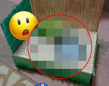 只花一天做出來《日本庭園風存錢筒》人機一體的妹妹完成的暑假作業模型超厲害