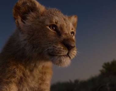 迪士尼寫實版《獅子王》正式預告公開 原來現實中澎澎丁滿長這樣...