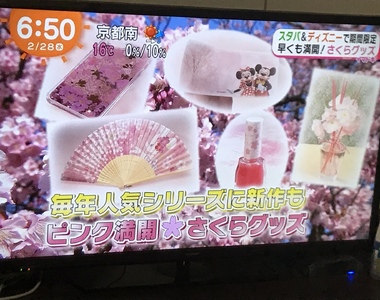 非櫻花不可的《櫻花收集控》看到櫻花就忍不住買買買