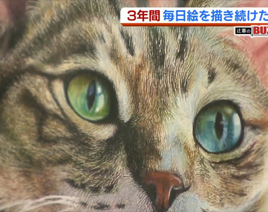 《色鉛筆繪師安部祐一朗》一張貓畫作紅遍全世界 17歲高中生勤奮練習超越照片的境界