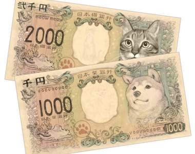 比真鈔還吸引人《柴犬紙鈔貓咪紙鈔商品化》超可愛假鈔灑滿床上睡起來肯定很爽