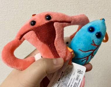 想全部收齊的臟器小布偶《子宮娃娃跟肺片娃娃》超絕可愛的設計讓人愛不釋手