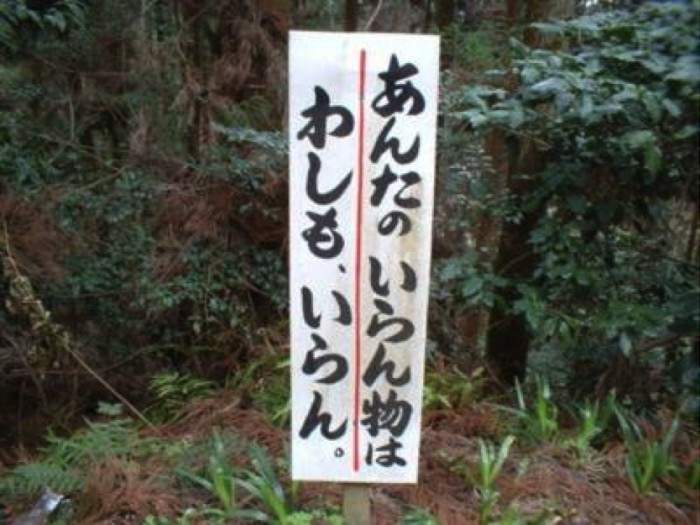 圖片3 圖片3