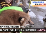 《台灣人超愛去日本東北》台灣旅客橫掃上半年觀光統計 宮城與福島為什麼成為今年首選? 《台灣人超愛去日本東北》台灣旅客橫掃上半年觀光統計 宮城與福島為什麼成為今年首選?