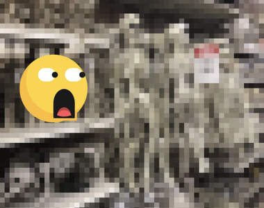 萬聖節前哨戰《美國賣場滿滿的骷髏裝飾》這間店肯定不缺什麼...不缺鈣