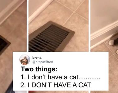 《貓的好笑推特》用貓的爆紅推文 讓藍色星期一退散