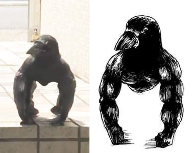 衝擊光景《眼前有一隻滿身肌肉的猩猩烏鴉》覺得等等就要被牠揍惹塊逃啊