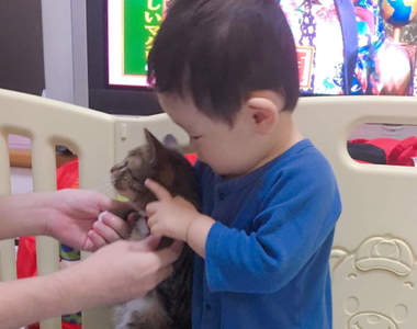 《貓跟小孩比身高的結果》下一秒喵牠使出大絕招讓小孩都驚呆...