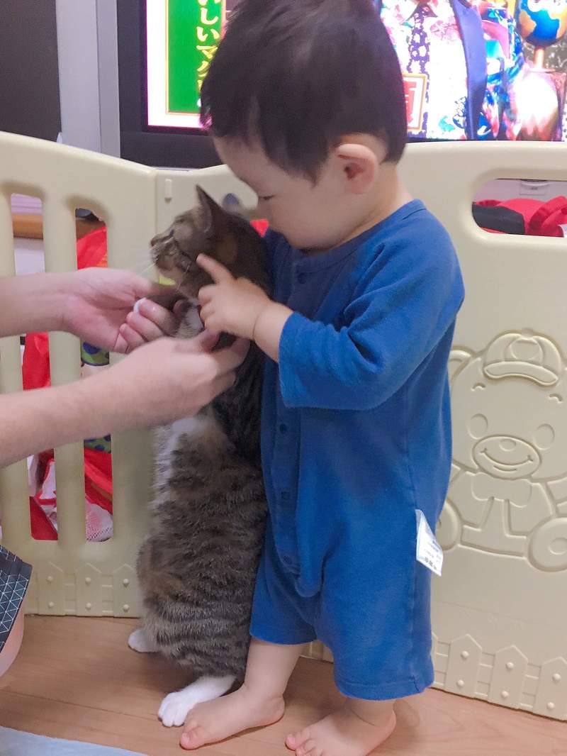 圖片2 圖片2