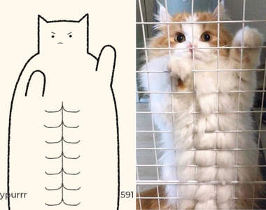 天才的發想《用幾條線還原喵星人姿勢》很不一樣的貓圖妳猜得到原本的POSE嘛XDD