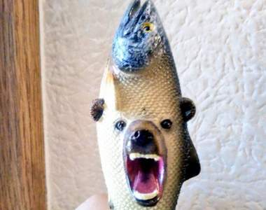 北海道土產《進化過頭的熊木雕》無極限的熊熊進化讓人越看越想買XD