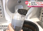 《日本蓬勃自助商機》店家省人手客人也輕鬆 連珍珠奶茶都能隨你DIY 《日本蓬勃自助商機》店家省人手客人也輕鬆 連珍珠奶茶都能隨你DIY