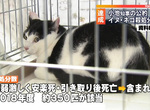 《養寵物比買寵物貴》反對安樂死發言惹議 前寵物店員呼籲沒錢買更不該收養…… 《養寵物比買寵物貴》反對安樂死發言惹議 前寵物店員呼籲沒錢買更不該收養……