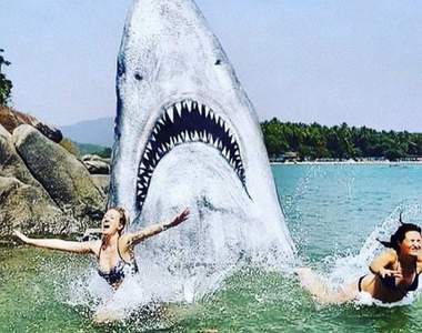 塗鴉藝術家把《石頭變鯊魚》結果這塊石頭就變成打卡景點了（笑）