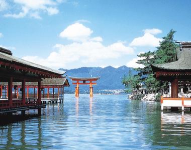 旅遊網站評選《日本人最愛的神社佛寺2019》連續4年奪冠的最強人氣景點究竟是?