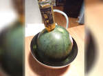 看起來像被肛的《酒精西瓜》要花上四天才能完成的好吃新滋味 看起來像被肛的《酒精西瓜》要花上四天才能完成的好吃新滋味