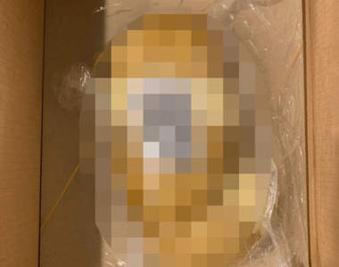 推民網購《寶可夢伊布娃娃》開箱驚見就像個標本的真空包裝(傻眼)