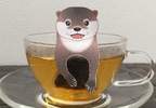 這我還不喝爆《水獺茶包》每天teatime都好想被它萌萌的盯著看＾ω＾