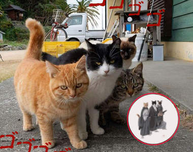 極惡四天王參上《不良貓的武士擬人化》繪師精湛功力讓喵星人的魅力突破上限MAX啦