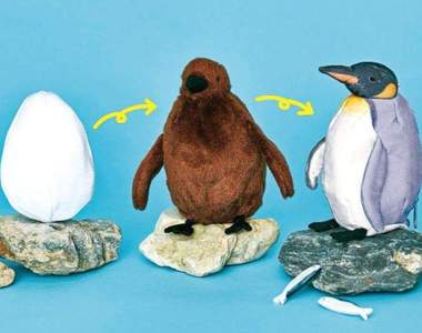 1顆蛋2種玩法《國王企鵝3變化娃娃》大阪海遊館×FELISSIMO聯名販售