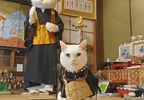 京都《貓貓寺》不只有貓住持的迎接，還有可愛貓甜點的寺廟型主題樂園（？）