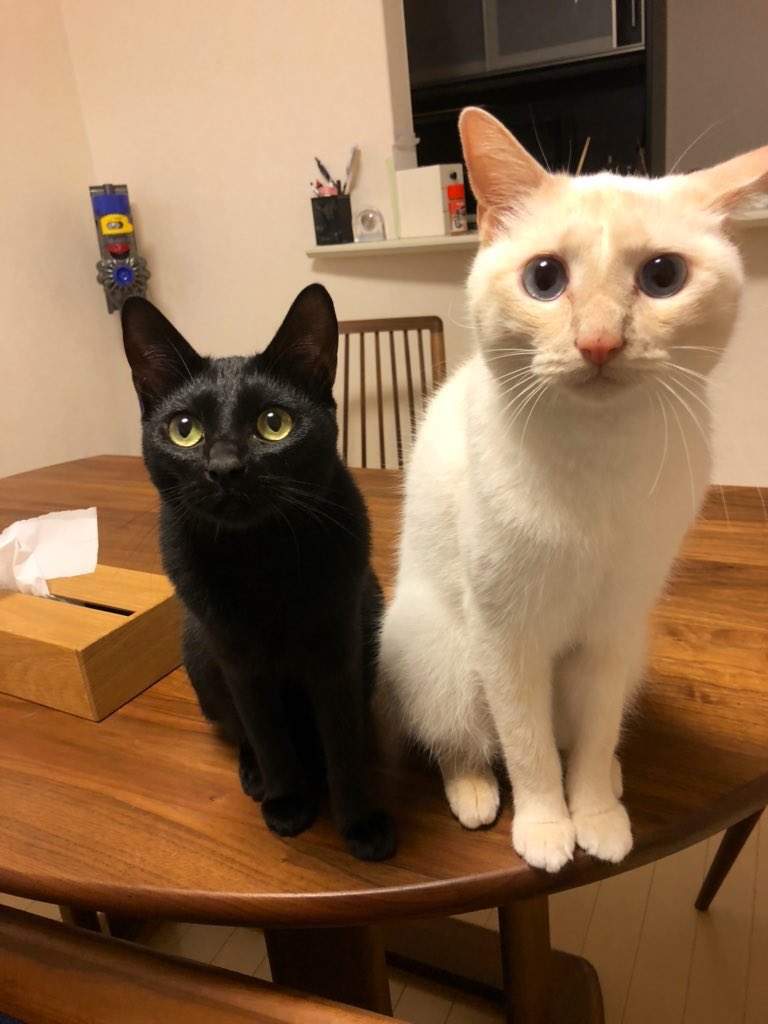圖片2 圖片2