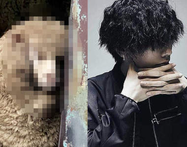 牧場驚見《激似米津玄師的綿羊》突然唱起「Lemon」都不奇怪的氛圍（最好是w）