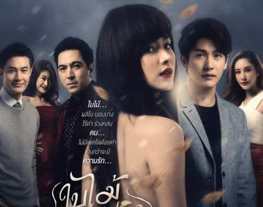 兒子向家暴父復仇決定變性誘拐他《吹落的樹葉》第一集直接自捅陰道辛辣開場