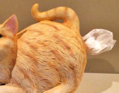 【有片】我看了什麼？超鬧《等身大貓咪面紙盒》竟從「後門」抽面紙　貓奴笑爆主子傻眼