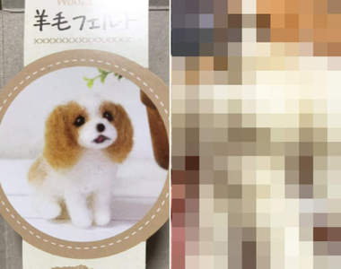 理想與現實的差距《想用羊毛氈做一隻狗狗》結果出現了一隻反差超大的詭異生物…