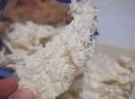 《激似面紙的沖繩零食》這不是我放在口袋被洗衣機攪過的衛生紙嗎ww 《激似面紙的沖繩零食》這不是我放在口袋被洗衣機攪過的衛生紙嗎ww