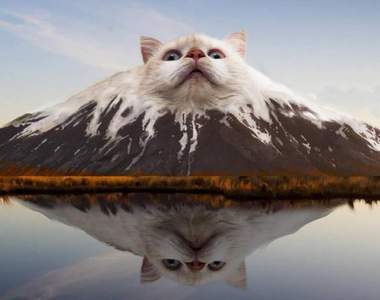 創意IG插畫《喵的勒富士山》有這樣的世界奇蹟我還不飛去日本看爆它