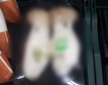 超市出現《吶喊杏鮑菇》你你你確定要吃我嗎?(驚悚)